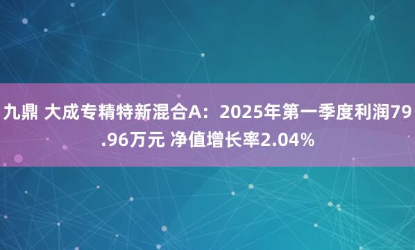 九鼎 大成专精特新混合A：2025年第一季度利润79.96万元 净值增长率2.04%