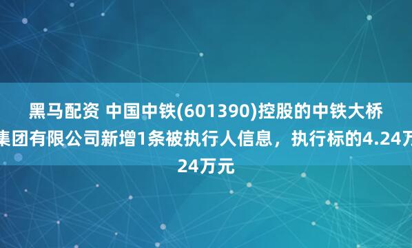 黑马配资 中国中铁(601390)控股的中铁大桥局集团有限公司新增1条被执行人信息，执行标的4.24万元